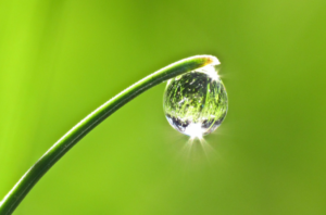 How to Practice Detachment in Daily Life